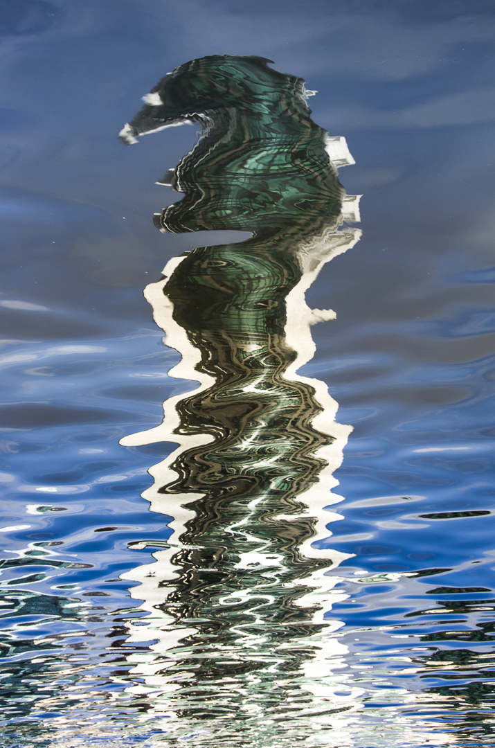 reflection, seahorse, Melbourne